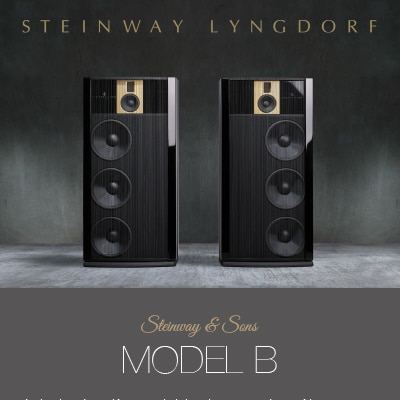 Model B fact sheet