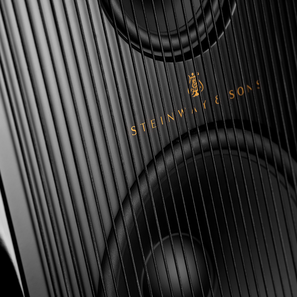 Model A loudspeaker close up on woofer