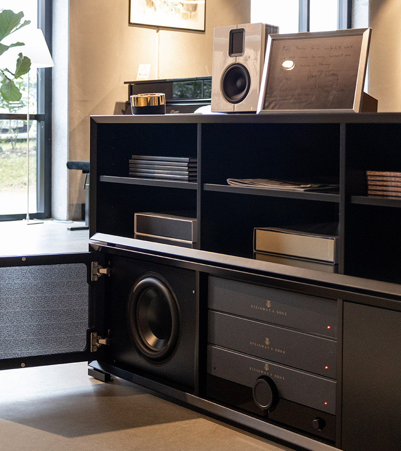 Custom Model S-210 woofer in cabinet