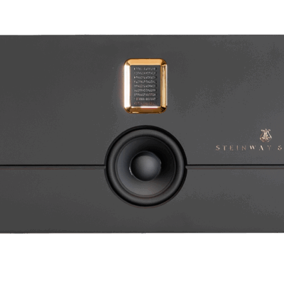 Model S Soundbar pictures 1 Mat black with gold trim.png